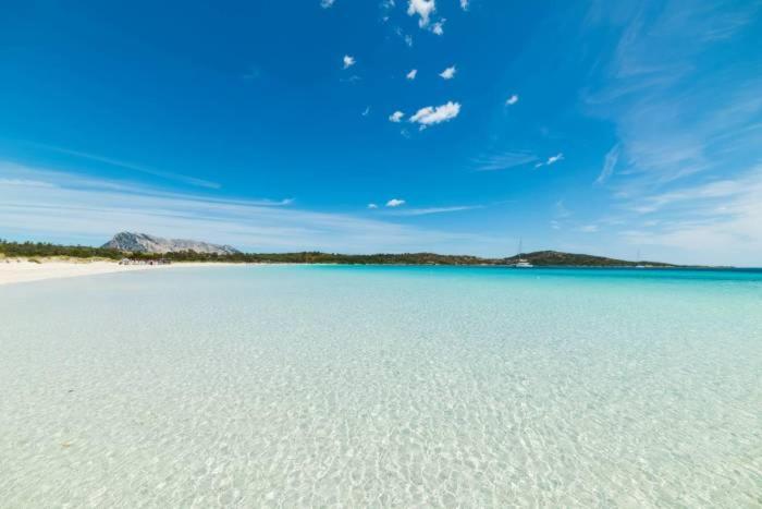 Апартаменти Olbia 53-11 Cin R3659 Екстер'єр фото